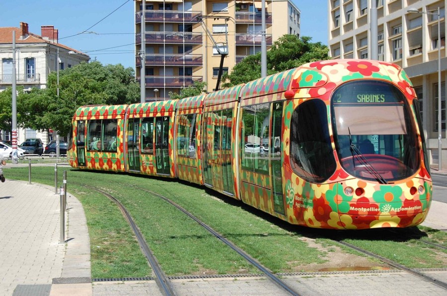 Rondelet le 14 juin 2012