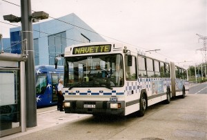 Copyright: Michel Bozzola