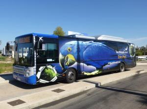 Copyright : Louis Ferdinand