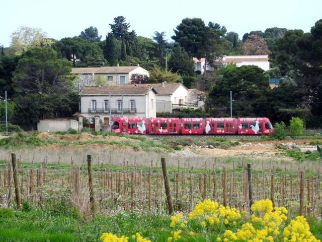 Le dimanche 10 avril 2016, la rame 2048 Citadis 302 Alstom multilignes, à la livrée "La Sunny French Tech Attitude", est photographiée à la hauteur de l'évitement des Grisettes, entre les stations "Victoire 2" et "Sabines" de la ligne 2. Copyright : Anje34