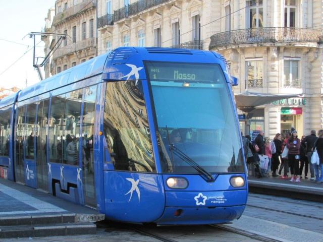 Symbole de la ligne 1, une rame Citadis 401 Alstom photographiée à la station "Comédie", le samedi 17 décembre 2016. Copyright : Edouard Paris